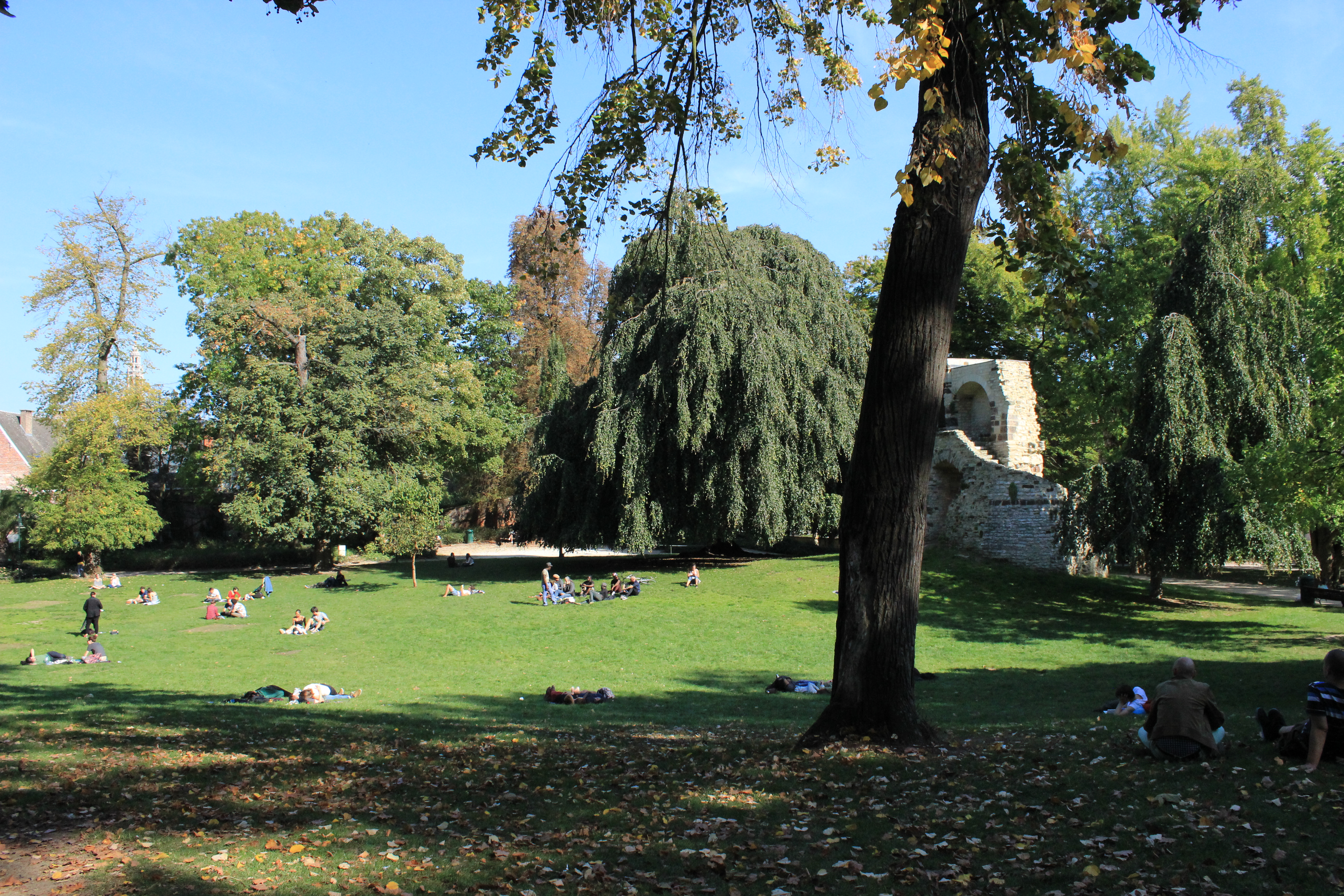 Freie Wiesenfläche im Sint-Donatuspark
