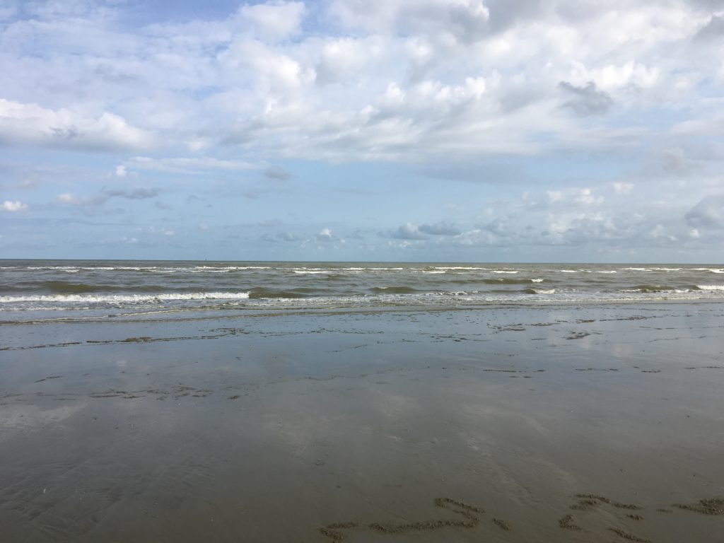 Der weite Strand von Oostduinkerke eignet sich sehr gut für den Fang von Garnelen