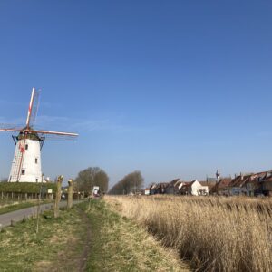 Damme – eine Windmühle, Gotik und Till Eulenspiegel