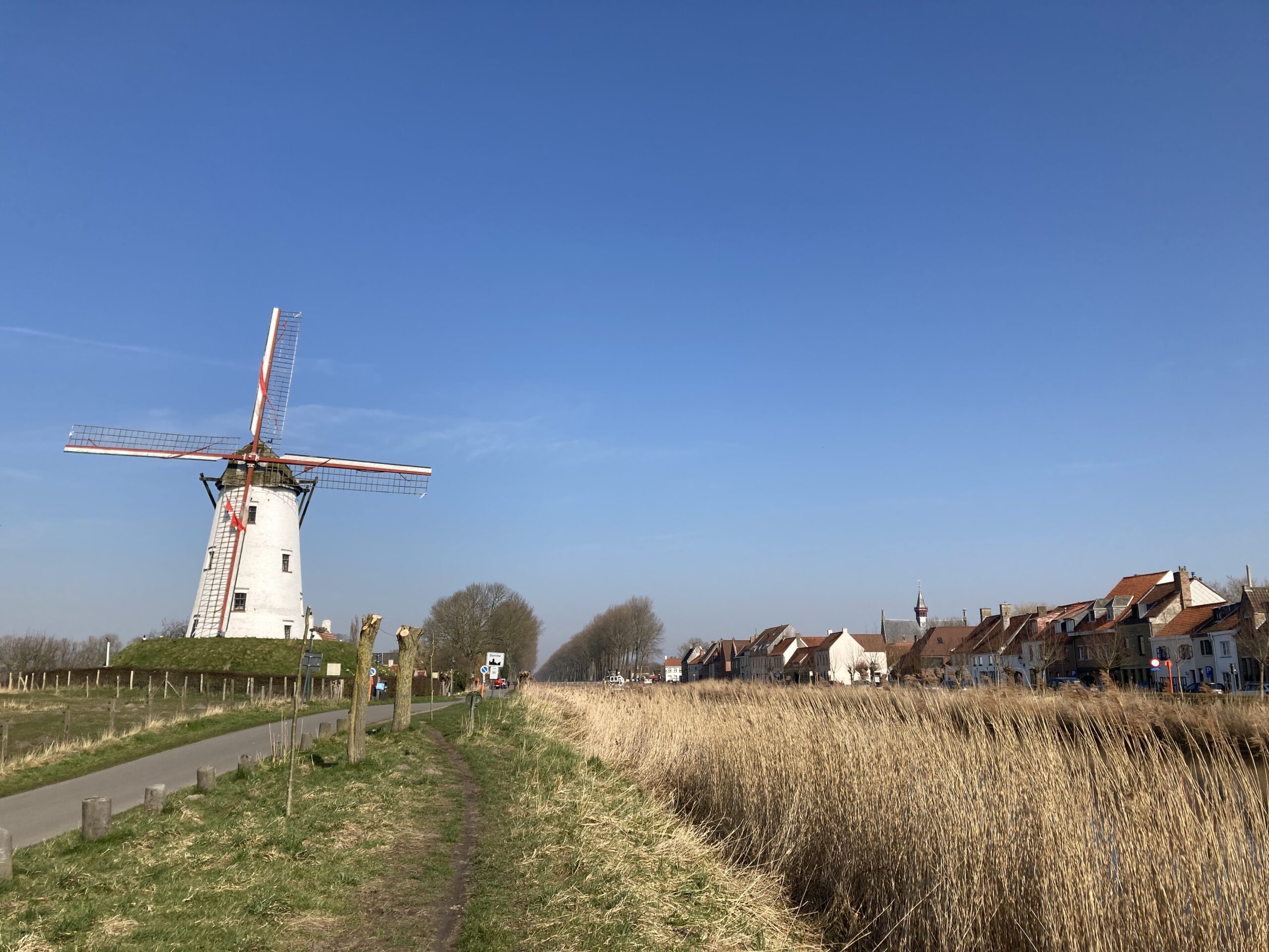 Damme – eine Windmühle, Gotik und Till Eulenspiegel